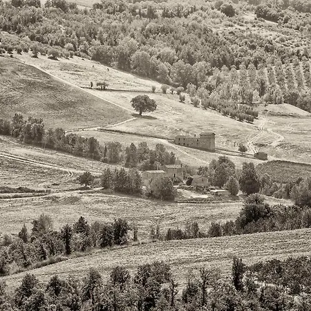Casa Greppo San Venanzo