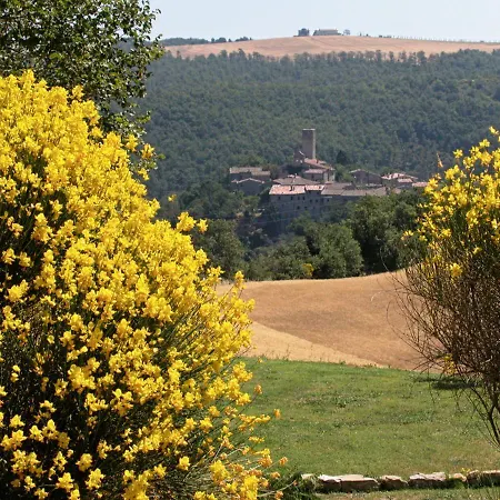 Casa Greppo Apartment