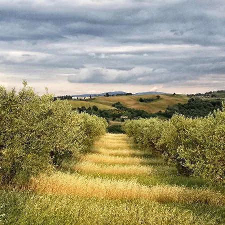 Casa Greppo Apartment *