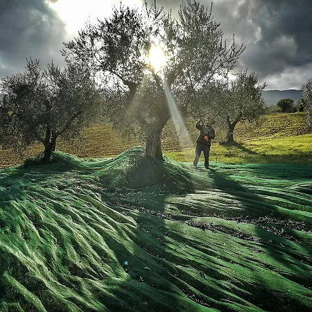 Casa Greppo * San Venanzo