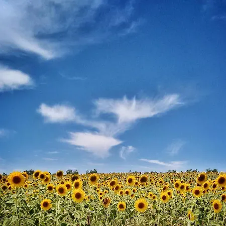 Apartment Casa Greppo San Venanzo