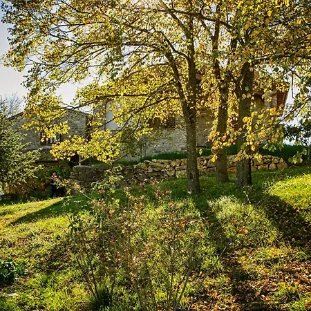 Apartamento Casa Greppo San Venanzo