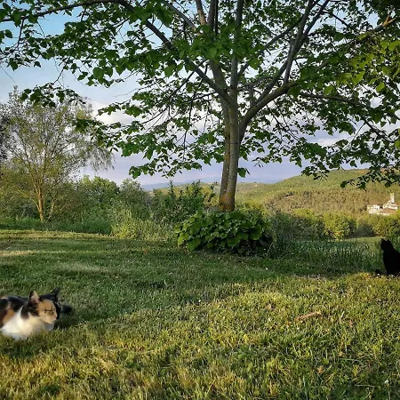 Apartment Casa Greppo *