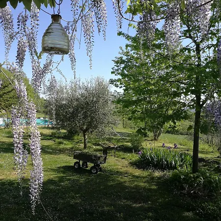 Apartment Casa Greppo