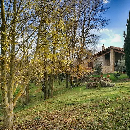 Apartment Casa Greppo