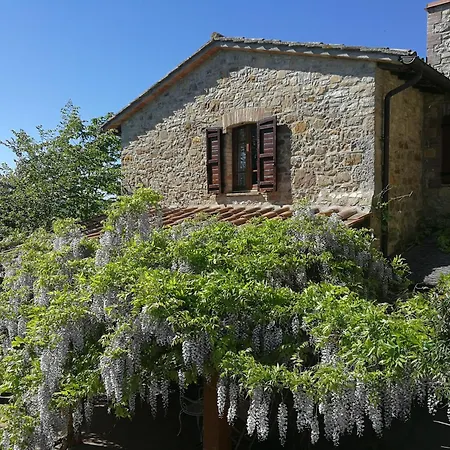 Casa Greppo 아파트 산베난초