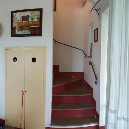 Apartment Casa Greppo