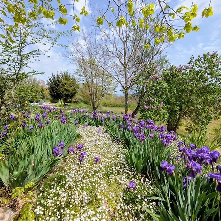 Apartment Casa Greppo San Venanzo