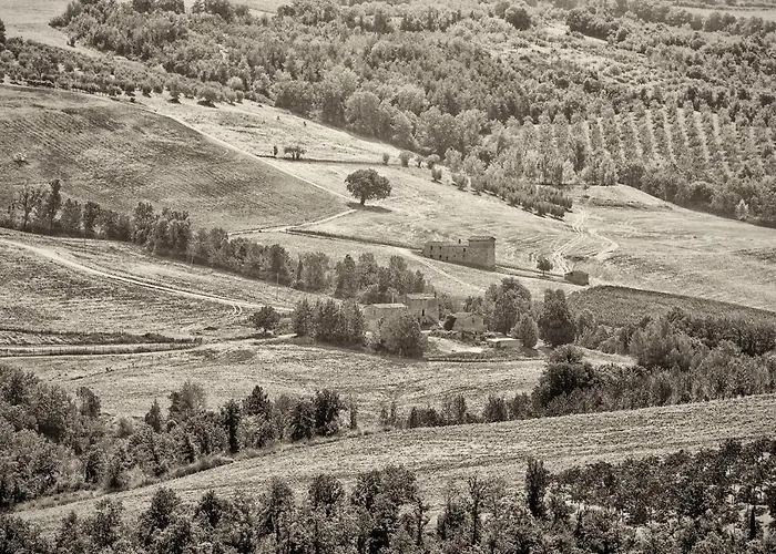 Casa Greppo San Venanzo