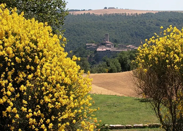 Casa Greppo Apartament