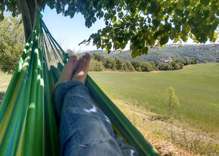 Apartamento Casa Greppo *