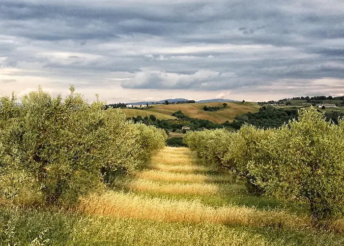 Casa Greppo Apartamento *