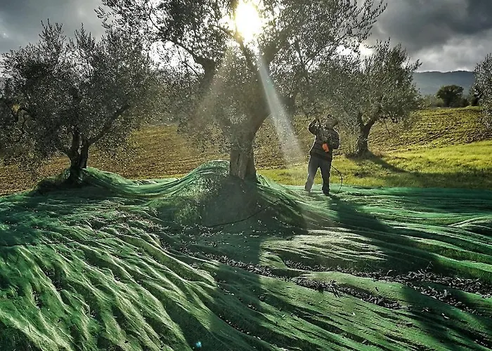 Casa Greppo * San Venanzo
