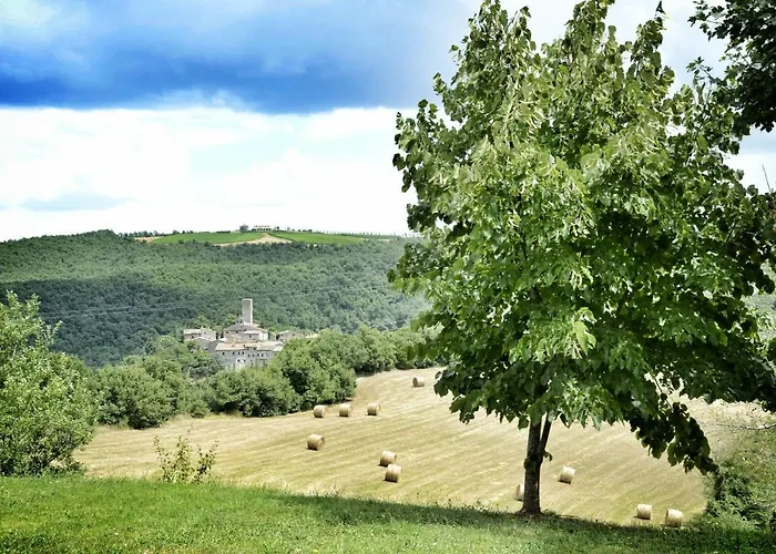 Casa Greppo San Venanzo