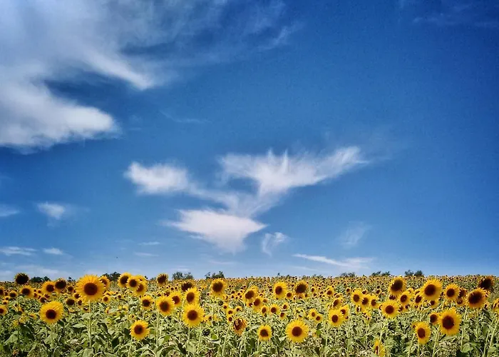 Apartament Casa Greppo San Venanzo