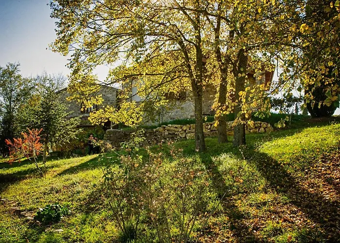 Apartament Casa Greppo San Venanzo