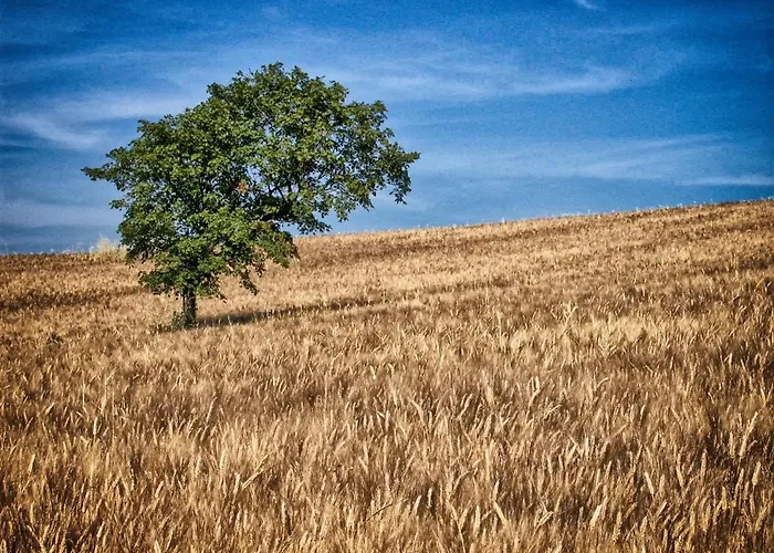 Casa Greppo Apartamento San Venanzo
