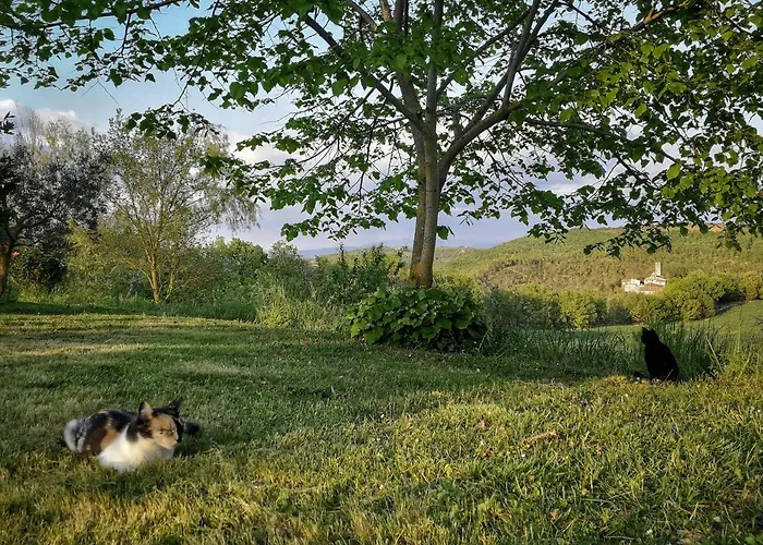 Apartament Casa Greppo *