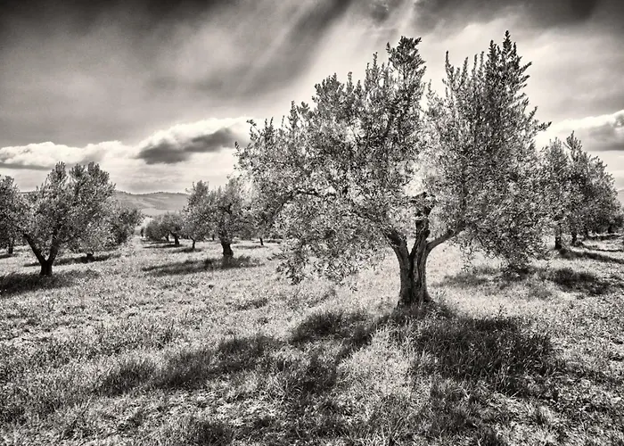 Casa Greppo San Venanzo