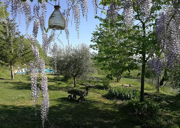 Appartement Casa Greppo