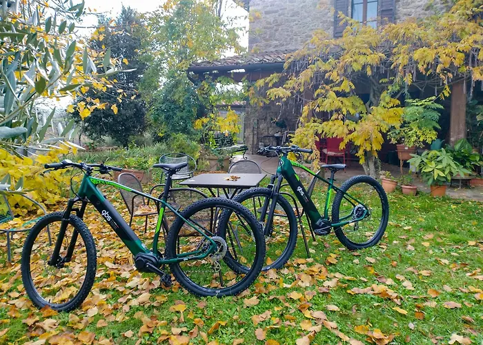 Apartament Casa Greppo San Venanzo