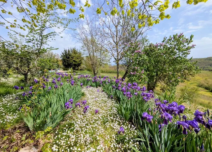 Apartamento Casa Greppo San Venanzo